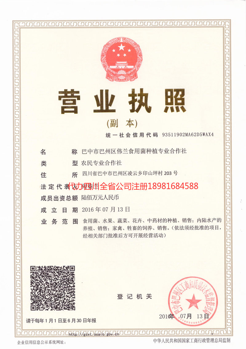 高安高安伟兰食用菌种植专业合作社